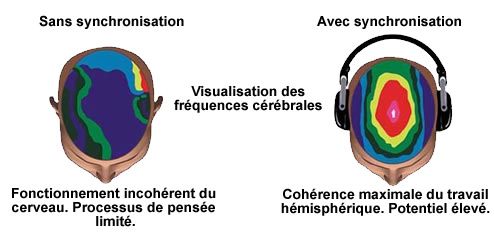 Synchronisation des hémisphères du cerveau, gauche et droit