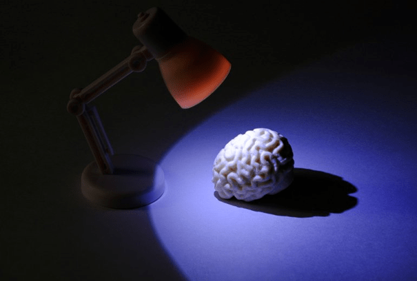 79 neurologie neuroscience psychologie